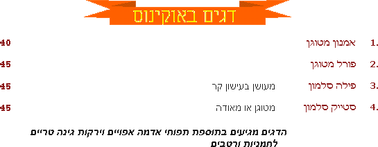 ���� ���&divide;�����