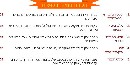 ����� ���� ��&divide;����